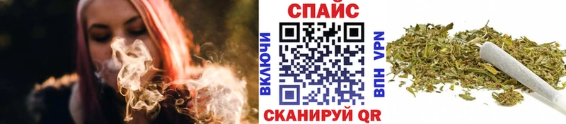 площадка как зайти  Улан-Удэ  Бутират BDO  где найти  