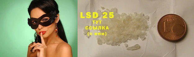 крисы Гатчина