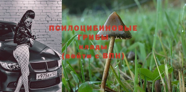 МДМА Осташков