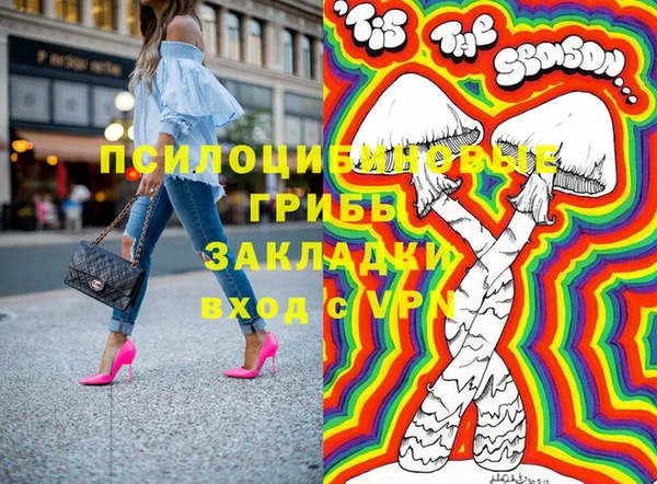 прущий лед Пересвет