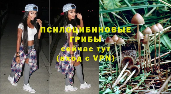 mdma Переславль-Залесский