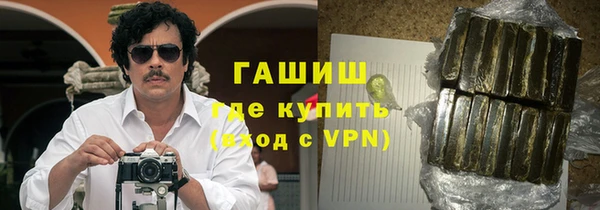 крисы Гатчина