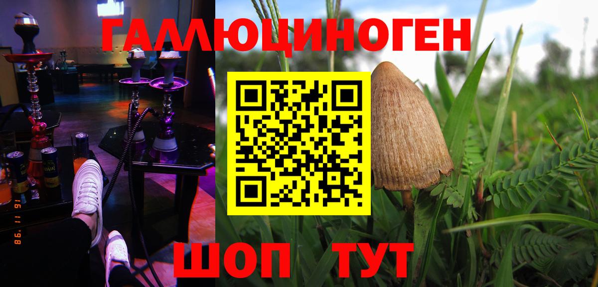 Галлюциногенные грибы мицелий  Вход с VPN  где найти наркотики  Улан-Удэ  Псилоцибиновые грибы ЛСД 